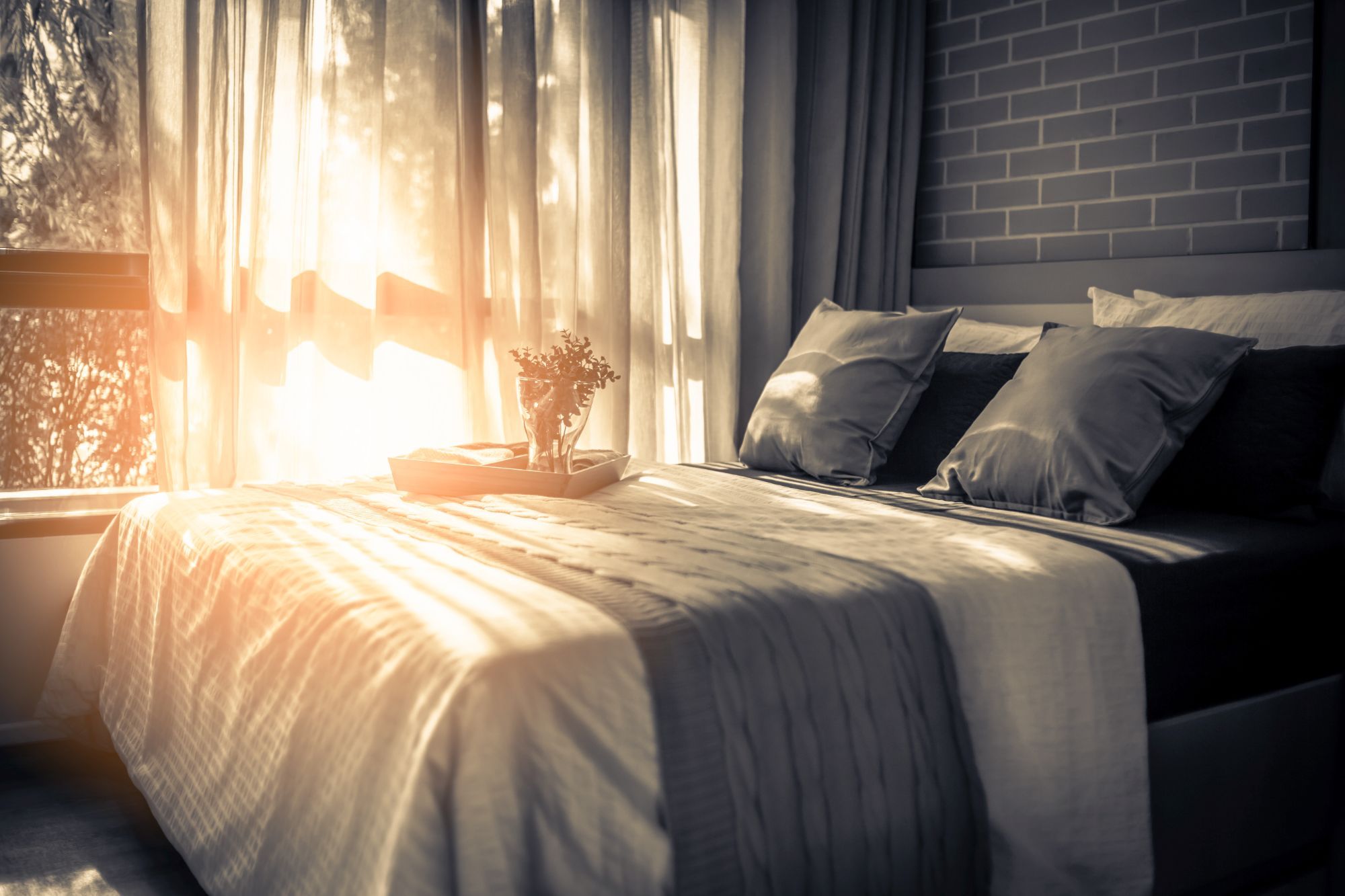 South African company launches global hospitality certification focused on allergies and sleep