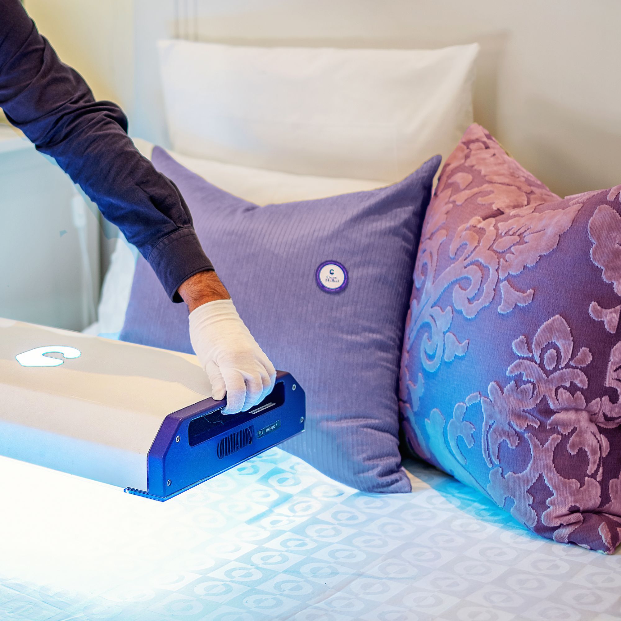 Shapeshifter: Charlie Wright, co-founder at Clean my bed